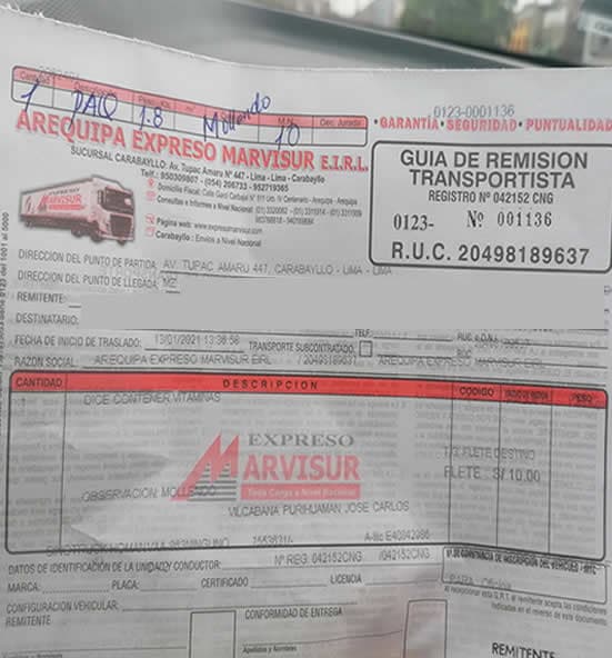 Cliente 5